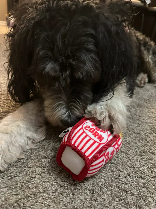 Mental Stimulation for Dogs: What Works and Why