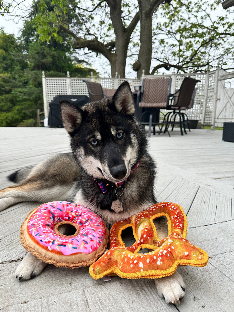 How to Help a Dog with Separation Anxiety