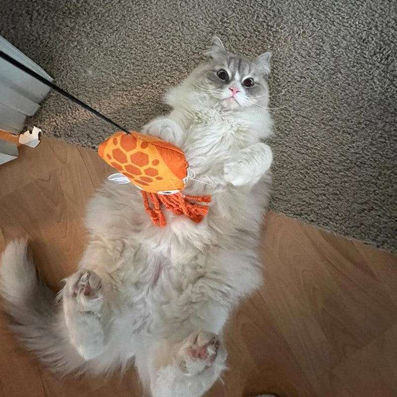 Interactive Cat Toys: A Complete Guide to What Actually Works