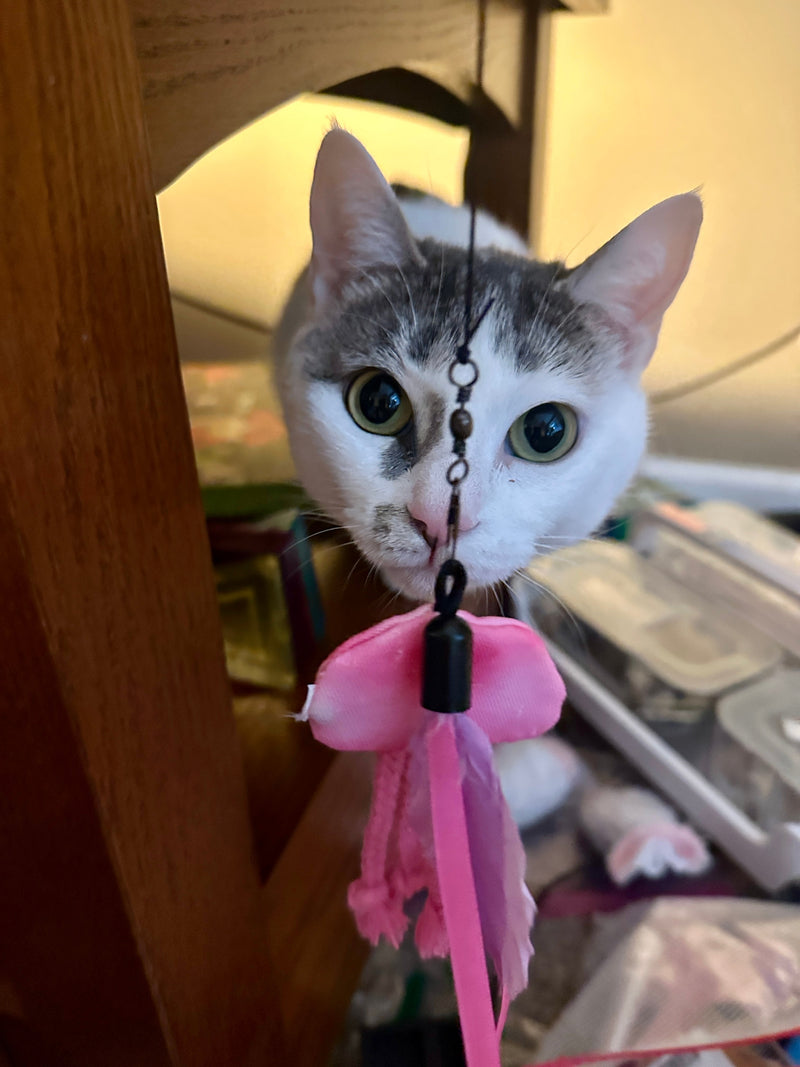 Interactive Cat Toys That Incorporate Catnip for Endless Fun