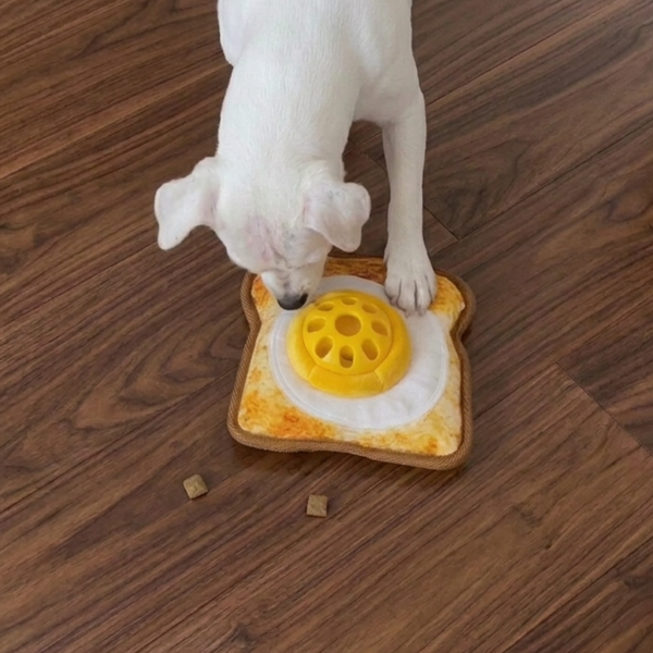 Dog Puzzle Toys: How to Choose the Right Difficulty Level (and Build It Into Their Day)