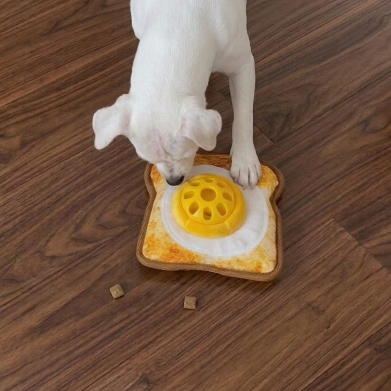 Dog Puzzle Toys: How to Choose the Right Difficulty Level (and Build It Into Their Day)