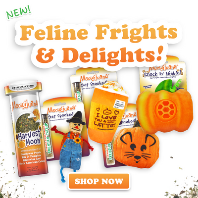 Feline Frights & Delights