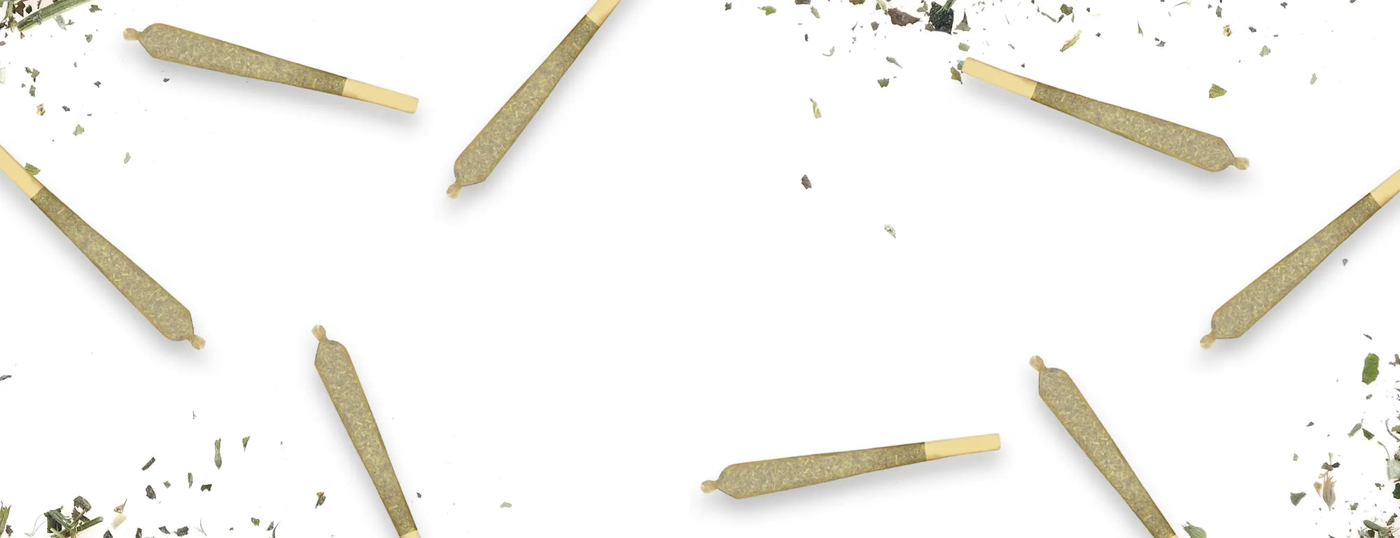 Promo banner