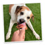 Tomahawk Steak and Mini Kebab Tuffer dog toy bundle