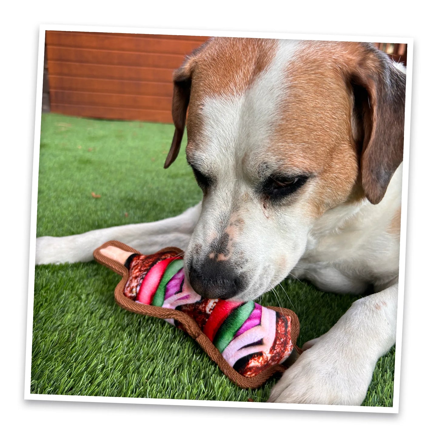 Tomahawk Steak and Mini Kebab Tuffer dog toy bundle