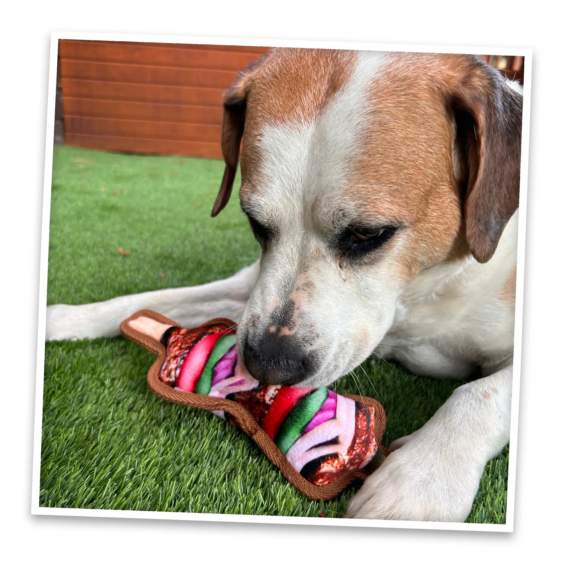 Tomahawk Steak and Mini Kebab Tuffer dog toy bundle