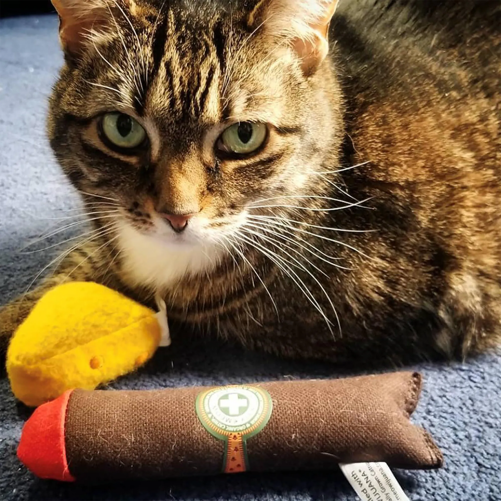 can you use normal paper for cigarettes What to Use as Rolling Paper When You're Out of Papers: 10 Handy Alter – Roll Your Own Papers can you use normal paper for cigarettes What to Use as Rolling Paper When You're Out of Papers: 10 Handy Alter – Roll Your Own Papers
