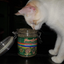 White cat sniffing the open Meowijuana Catnip Pawty Mix jar.