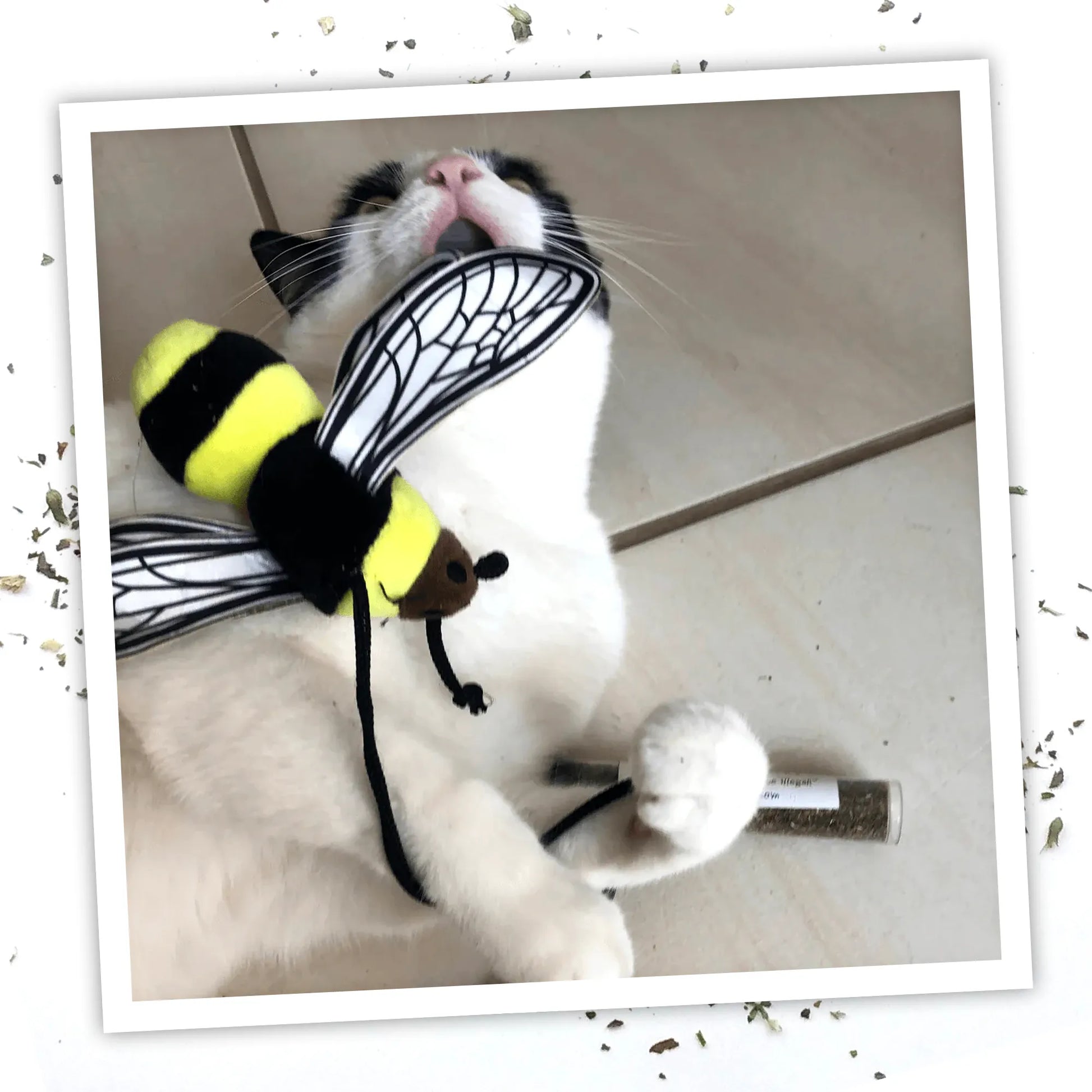 Get Buzzed Refillable Bee: Interactive Cat Toy for Endless Fun Get Buzzed Refillable Bee: Interactive Cat Toy for Endless Fun