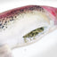 The Meowijuana rainbow trout toy showing its open pocket filled with premium catnip.