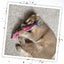 Meowijuana scratcher & rainbow trout toy bundle