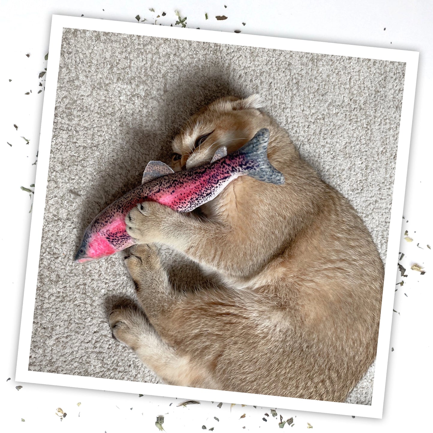 Meowijuana scratcher & rainbow trout toy bundle
