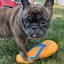 Get to the Beach Flip Flop Refillable Dog Toy
