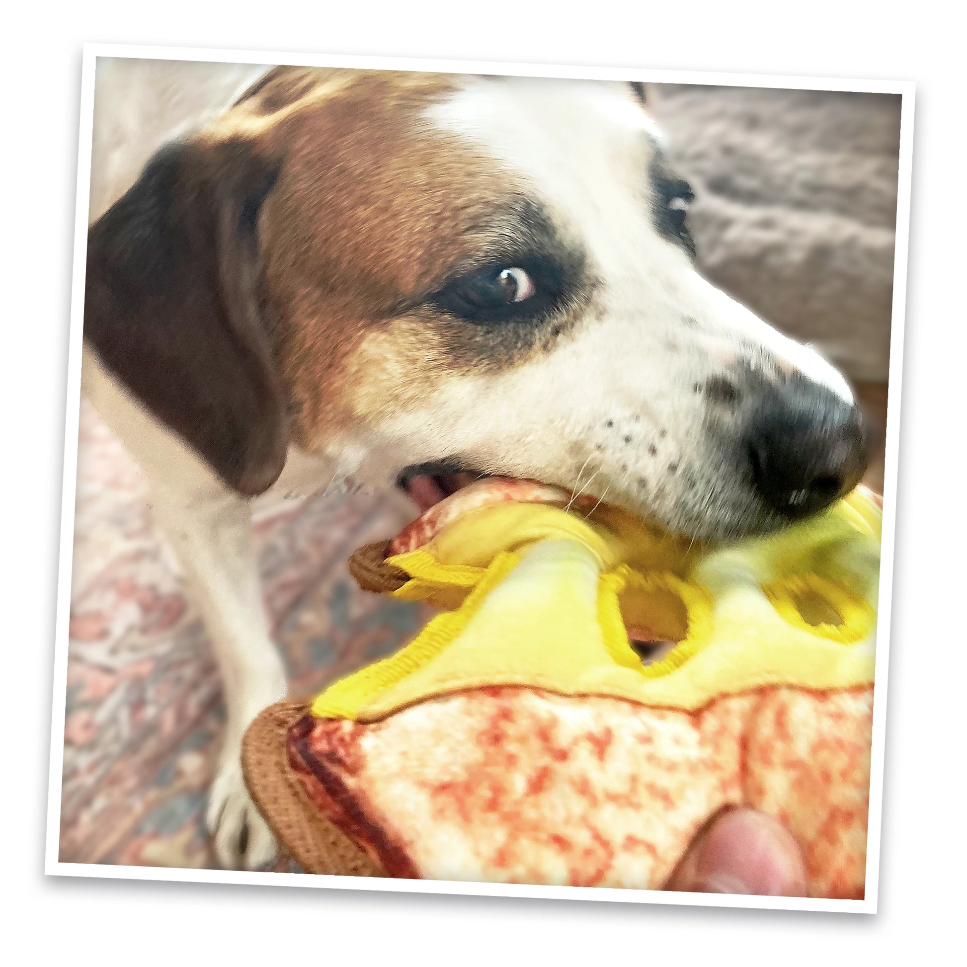 Grilled Cheese and Corn Dog tough dog toy bundle