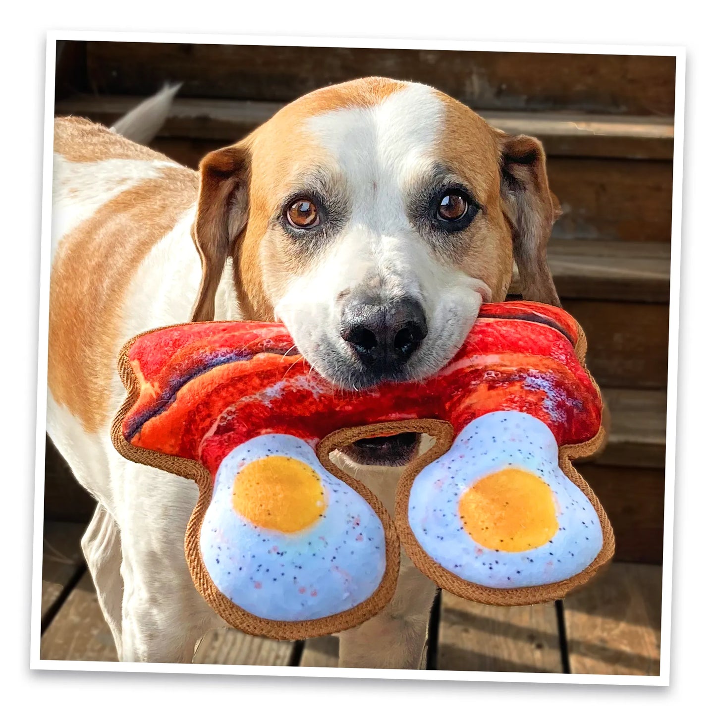 Tuffer Chewer Doggi Duo Bundle - Eggs and Bacon & Juananip