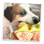 Tuffer Chewer Doggi Duo Bundle - Grilled Cheese & Juananip