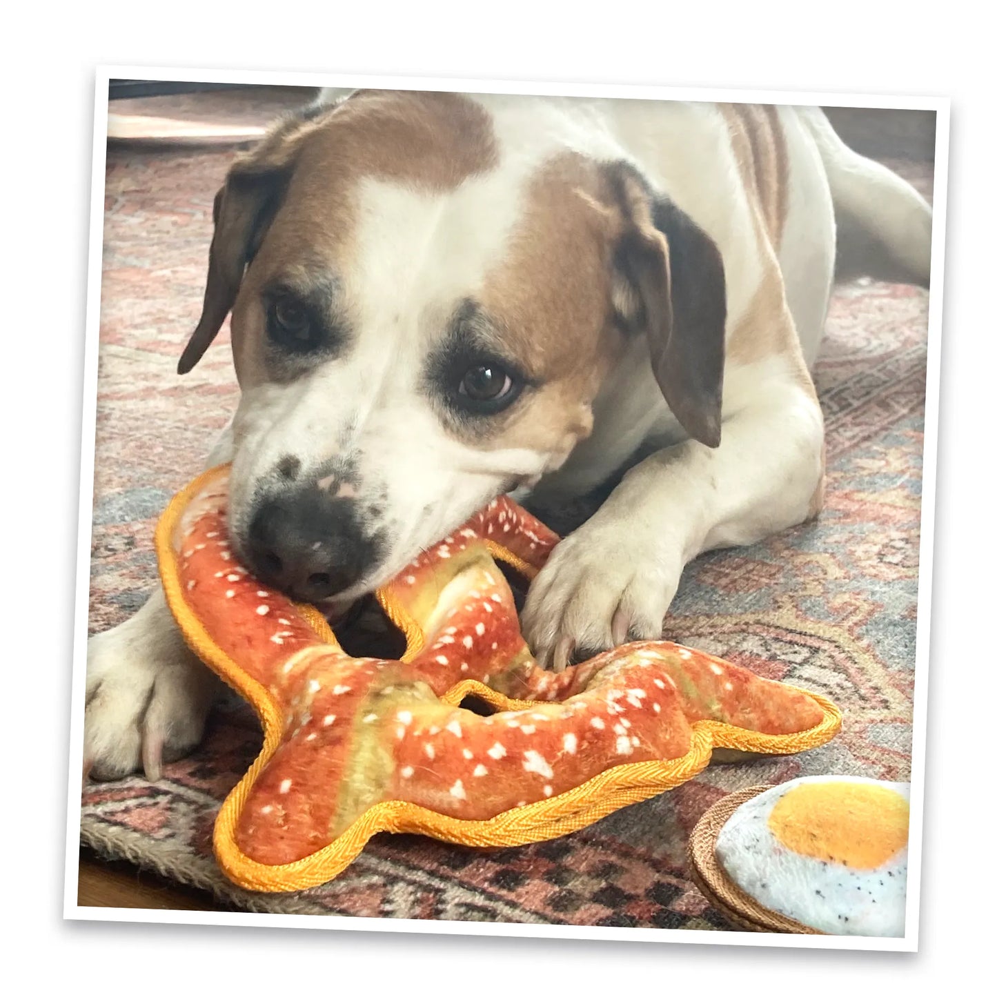 Tuffer Chewer Doggi Duo Bundle - Twisted Pretzel & Juananip