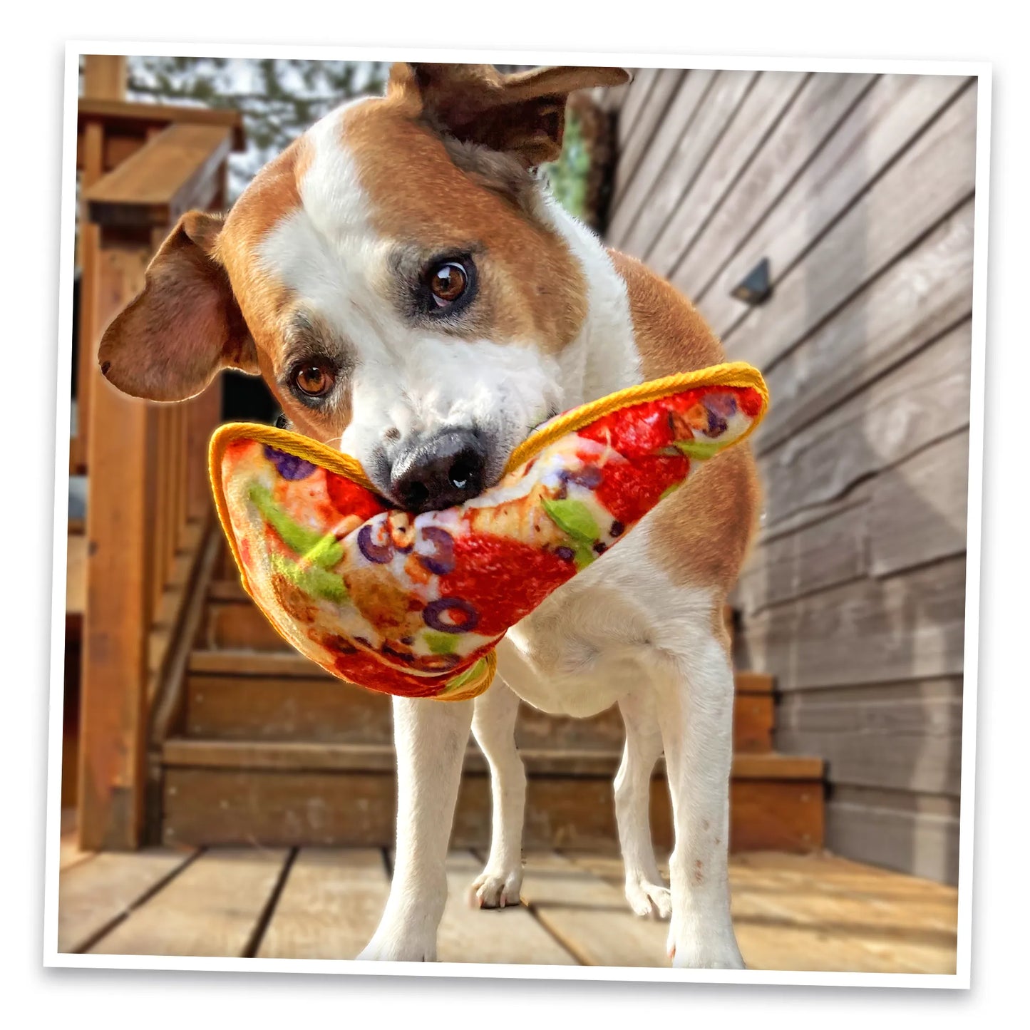 Tuffer Chewer Doggi Duo Bundle - Supreme Pizza & Juananip