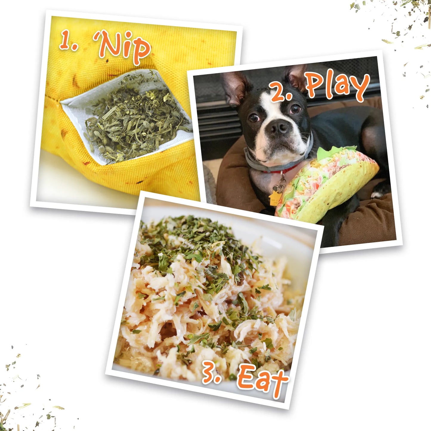 Get the Munchies Taco Refillable Dog Toy