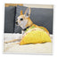 Get the Munchies Taco Refillable Dog Toy