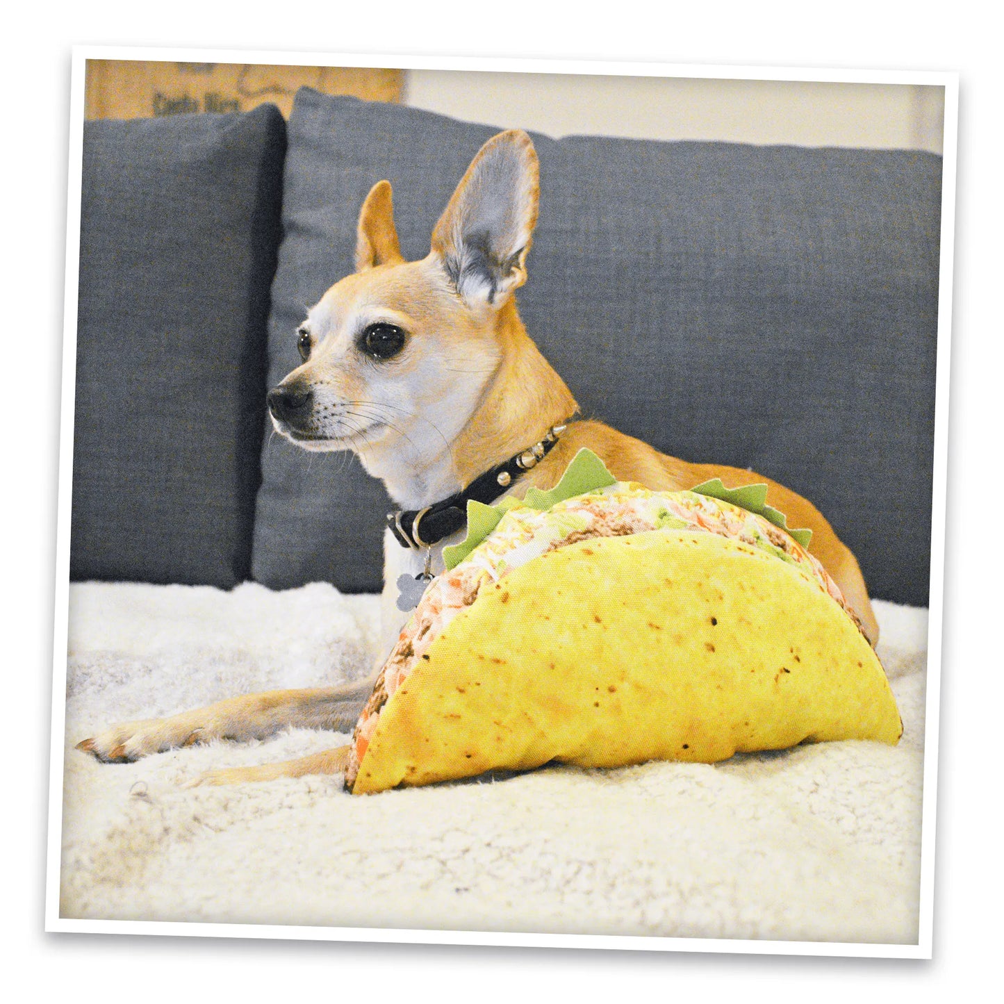 Get the Munchies Taco Refillable Dog Toy