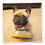Get the Munchies Taco Refillable Dog Toy