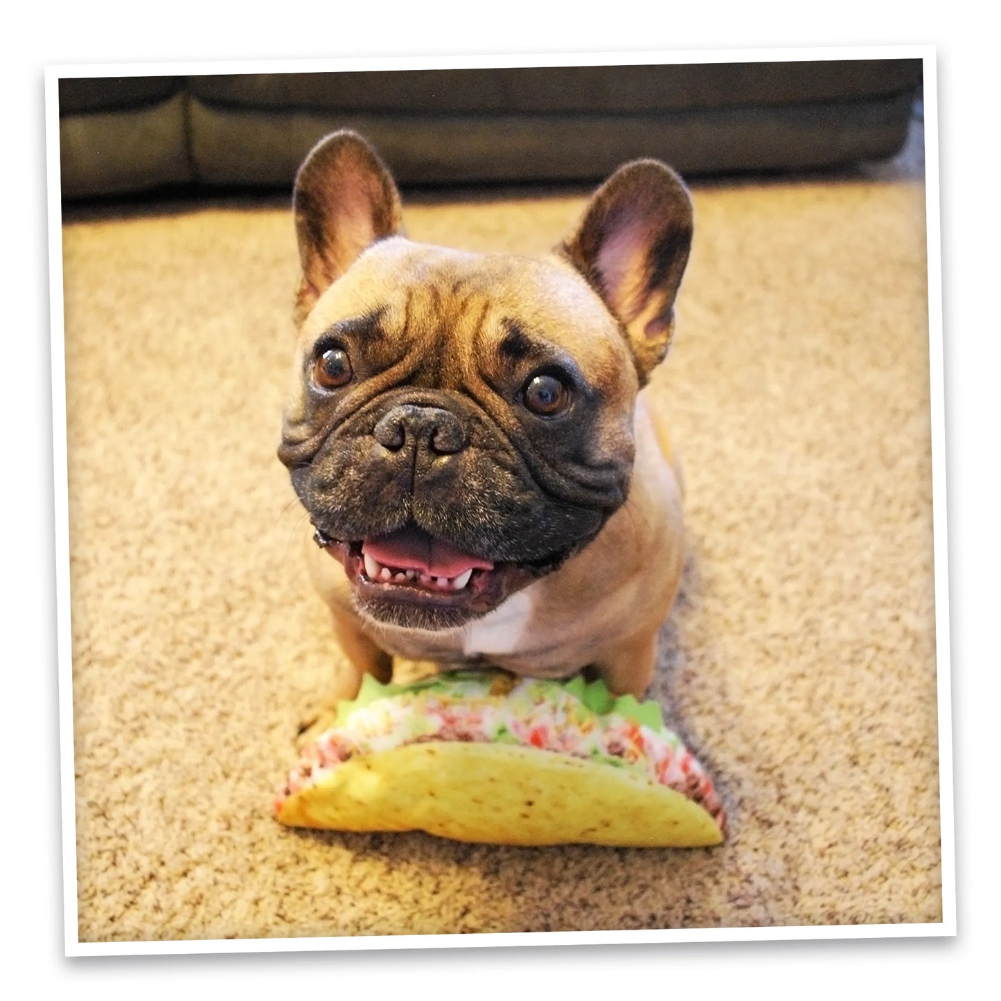 Get the Munchies Taco Refillable Dog Toy