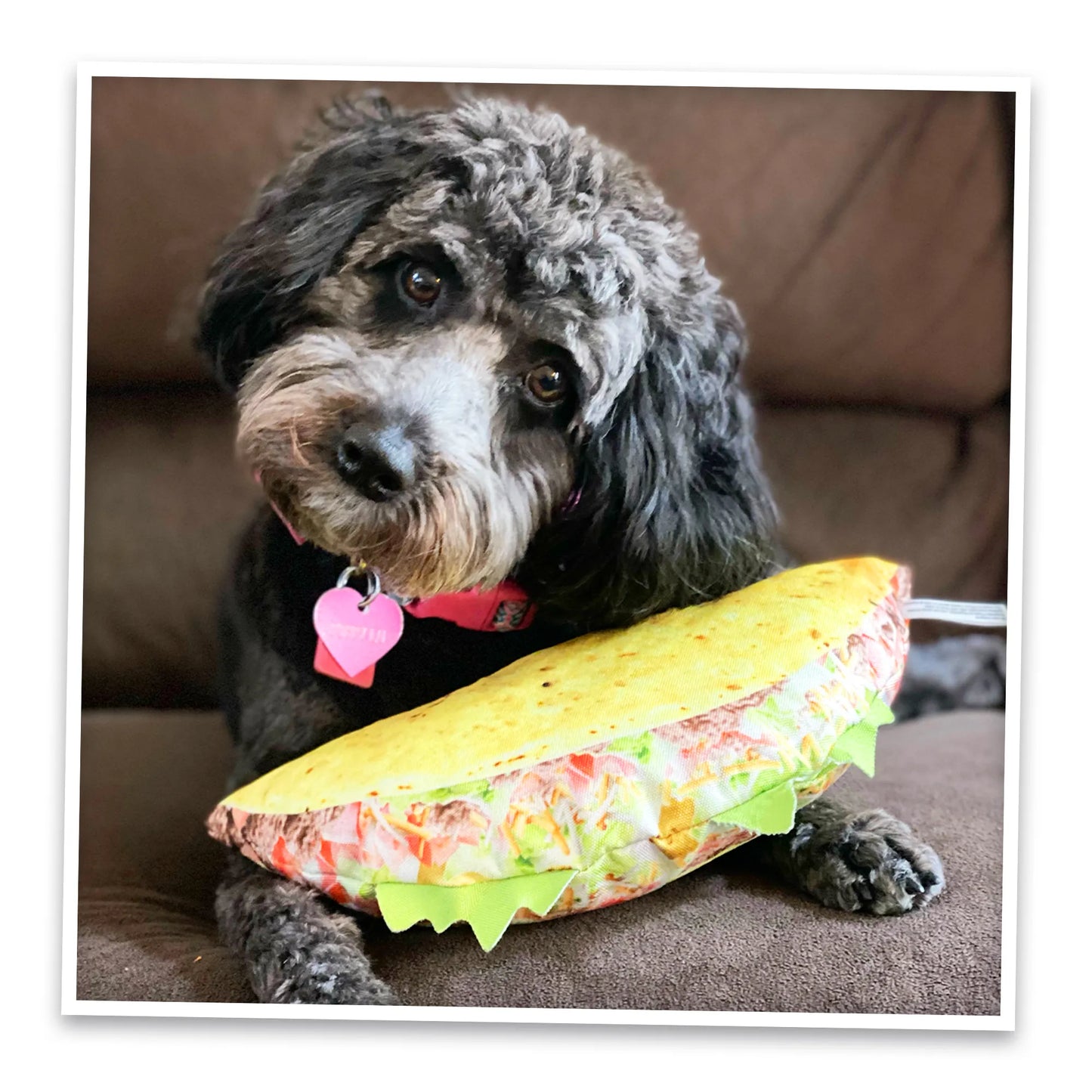 Get the Munchies Taco Refillable Dog Toy
