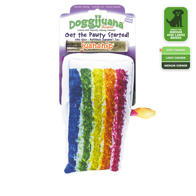 Get the Pawty Started Cake Slice Refillable Dog Toy