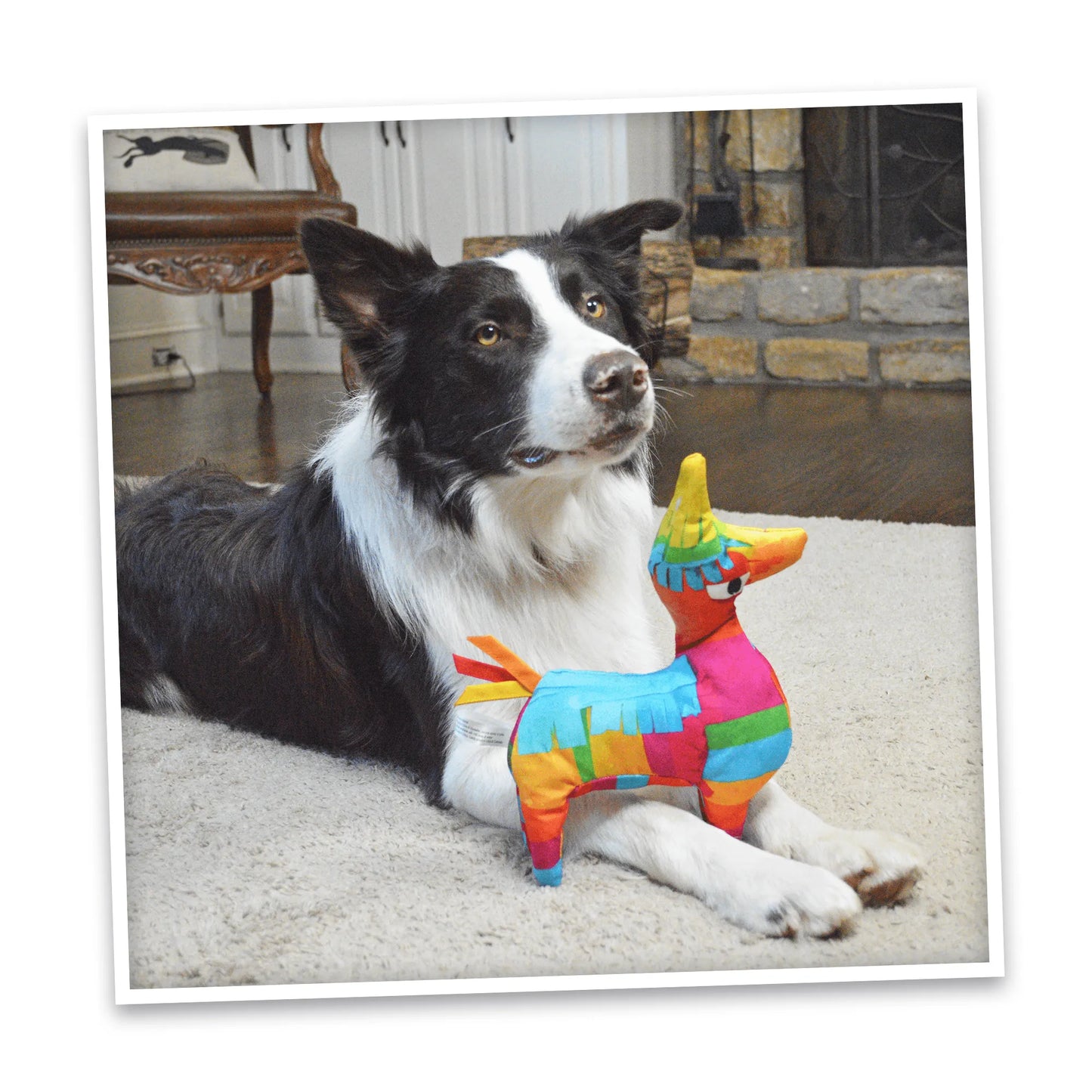 Get the Pawty Started Llama Piñata Refillable Dog Toy