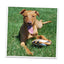 Get Outside S'more Refillable Dog Toy