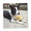 Get Outside S'more Refillable Dog Toy