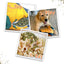 Get Outside Hiking Boot Refillable Dog Toy