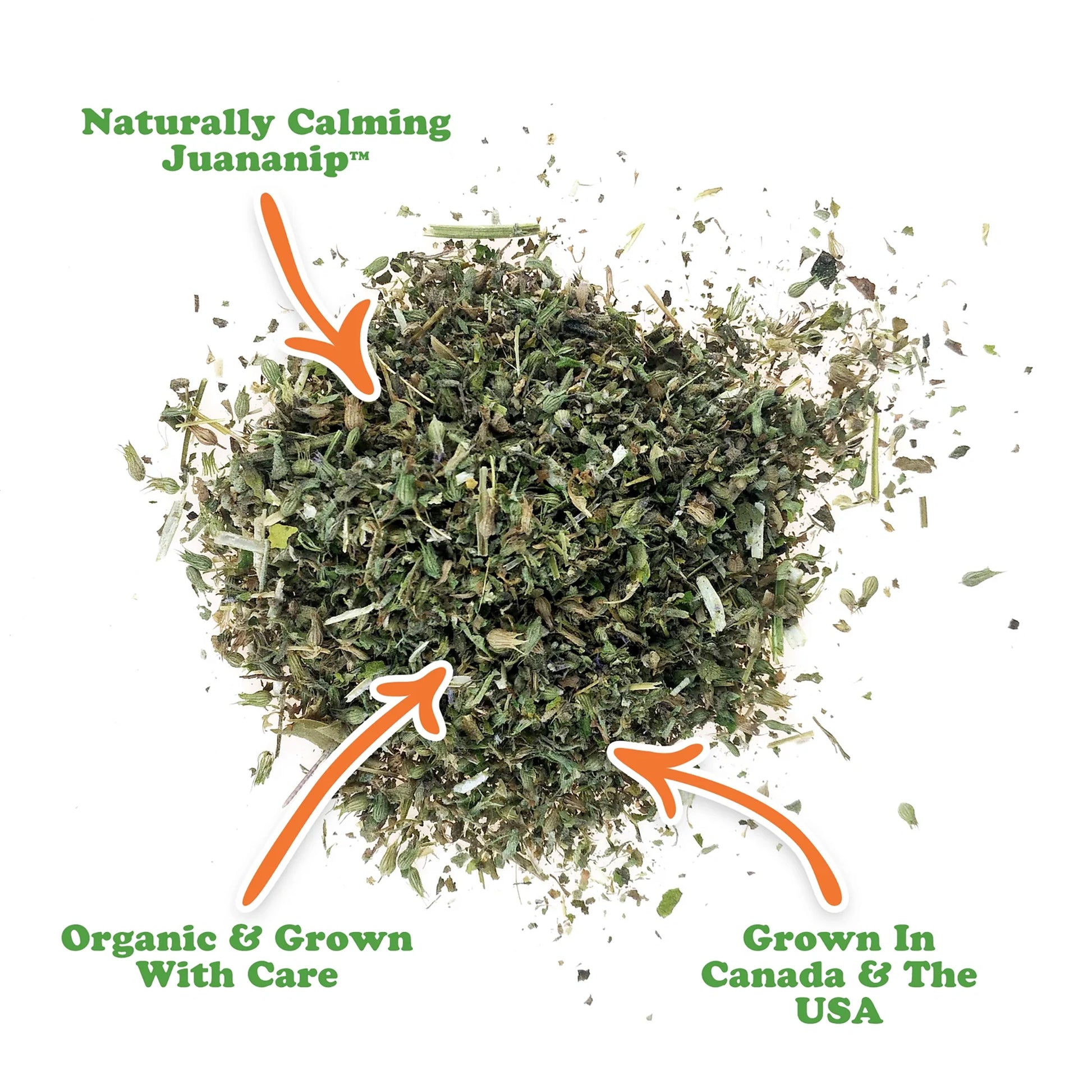 Doggi Duo toy & Juananip refill bundle