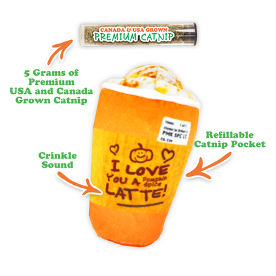 Fall Favorites Bundle