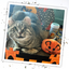 Get Spooked Toy Bundle