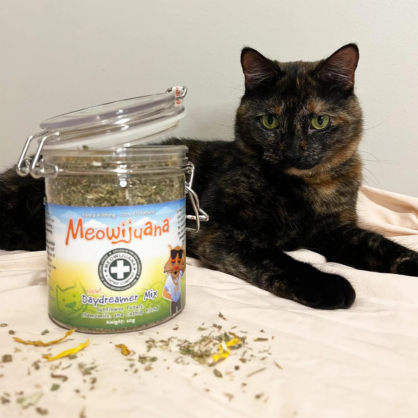 Tortoiseshell cat lying next to Meowijuana Daydreamer Mix jar, with some herbs spilled in front of the jar.