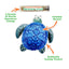 Get Salty Sea Turtle