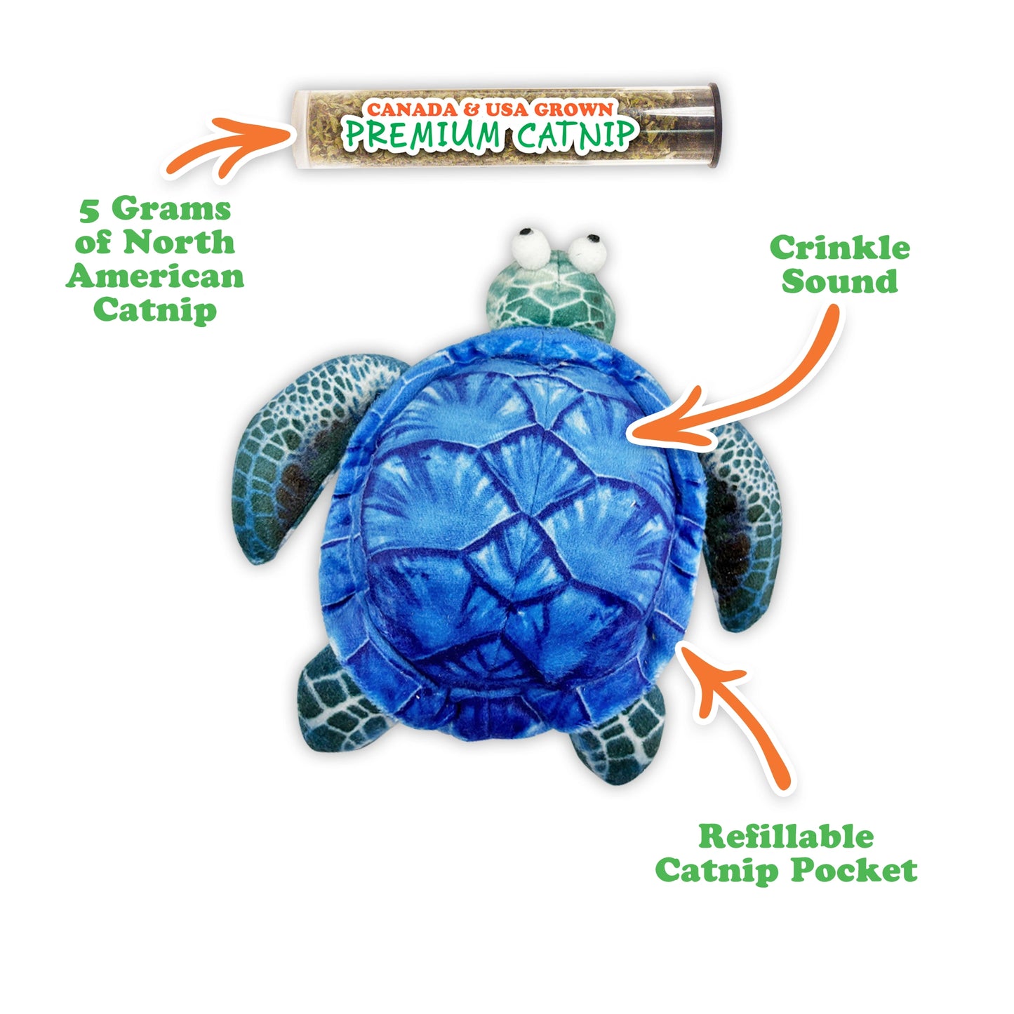 Get Salty Sea Turtle