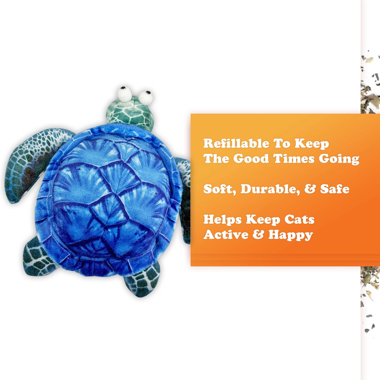 Get Salty Sea Turtle