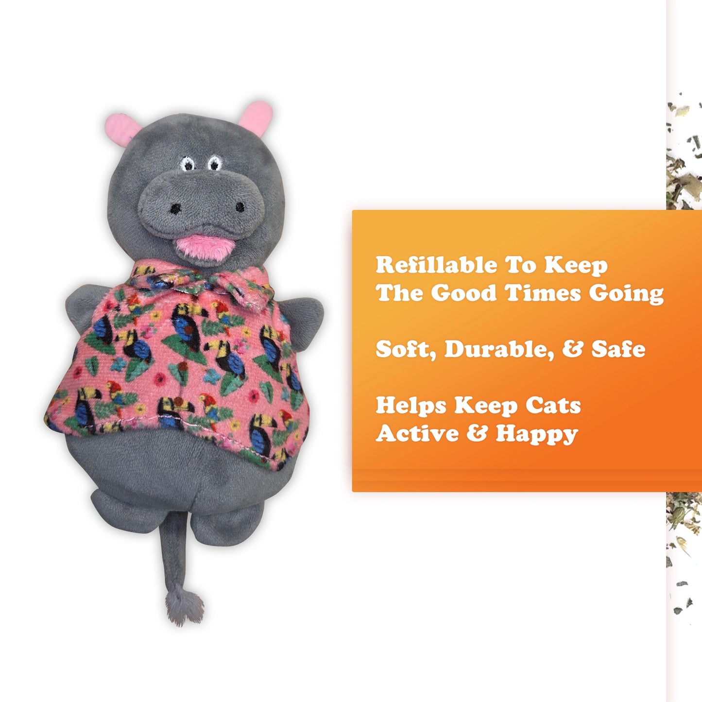Get Wild! Happy Hippo