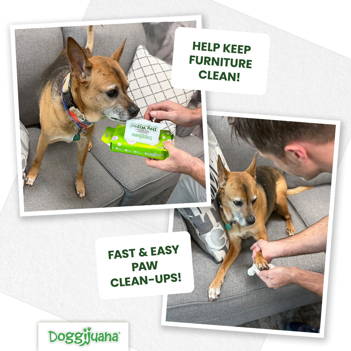 Everyday Plant-Powered Dog Wipes