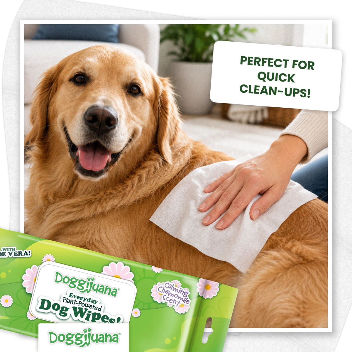 Everyday Plant-Powered Dog Wipes