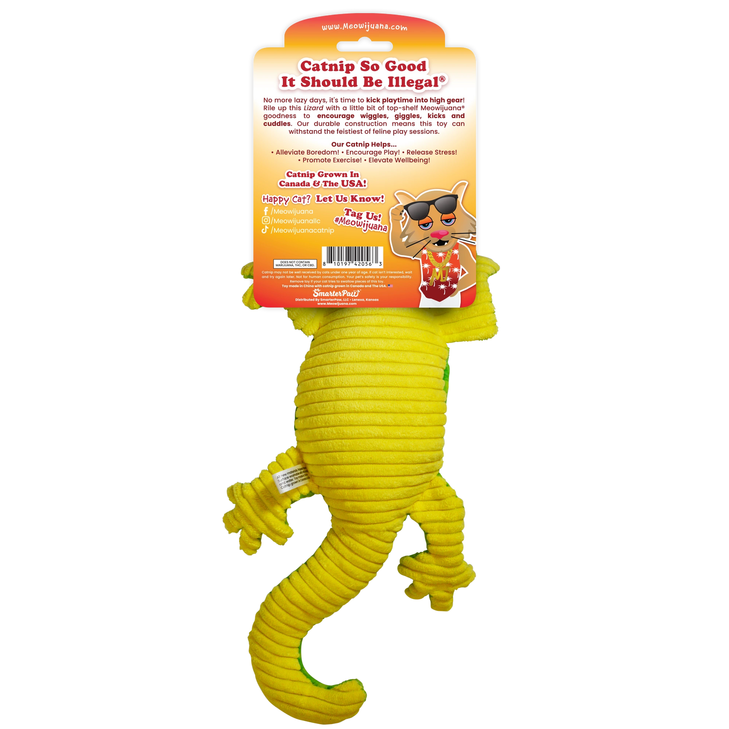 Get Kickin Loopy Green Lizard Refillable Cat Toy