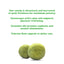 Meowijuana Compressed Catnip toy bundle