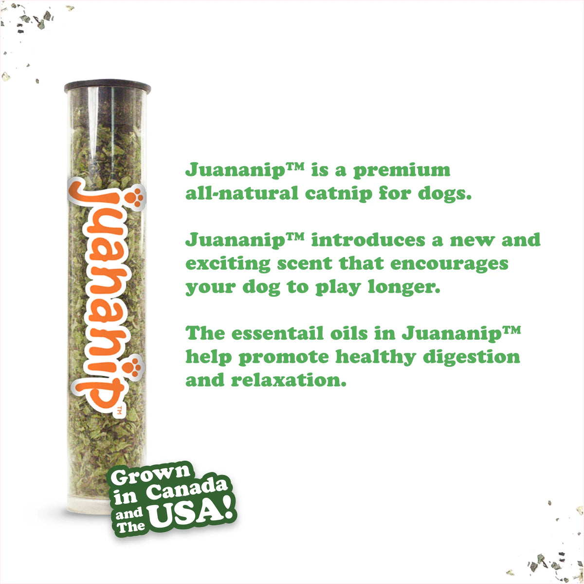 Tuffer Chewer Chocolate Chunk Cookie Refillable Dog Toy