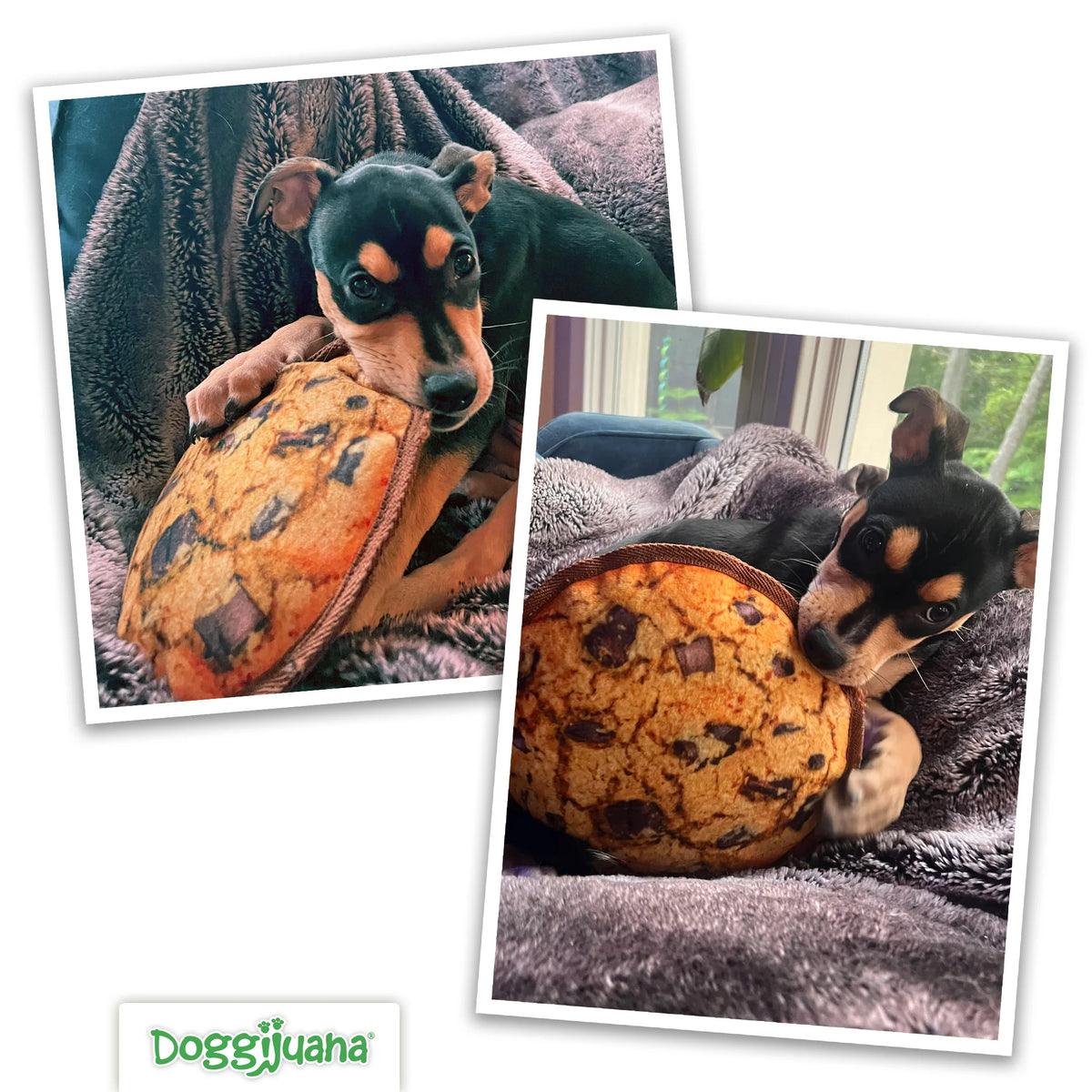 Tuffer Chewer Chocolate Chunk Cookie Refillable Dog Toy