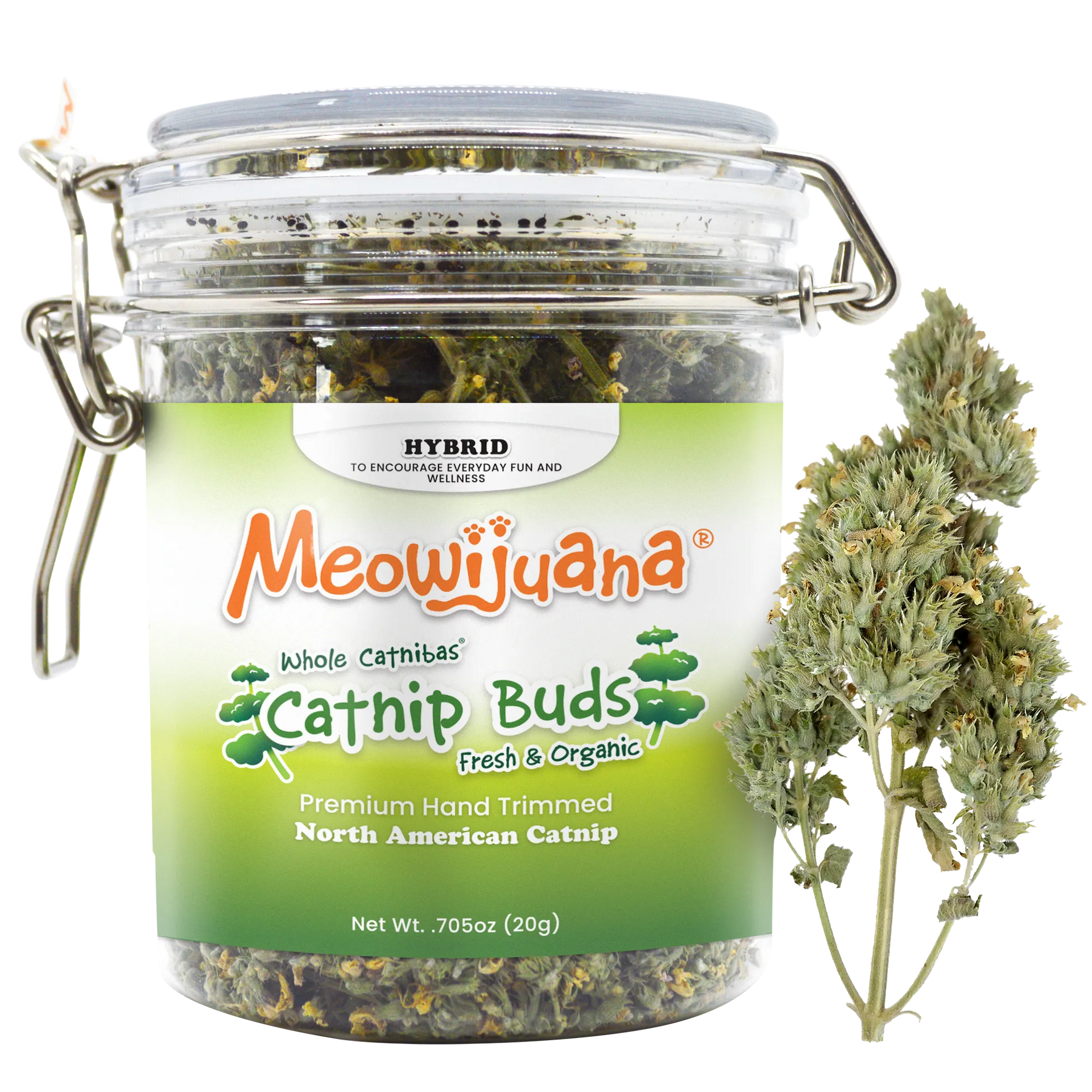 Catnibas® Catnip Buds: Potent Catnip for Cats – SmarterPaw