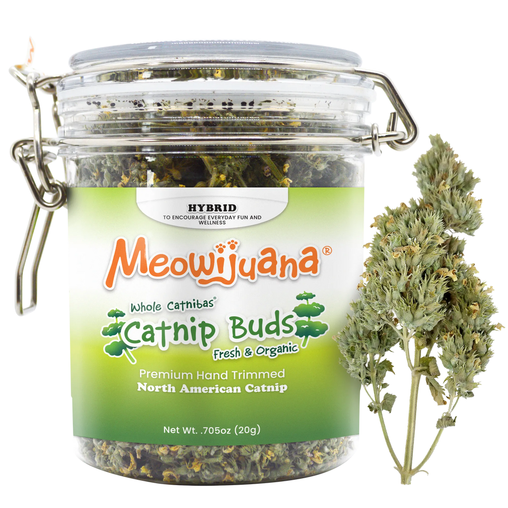 Meowijuana Catnip Buds jar with premium hand-trimmed North American catnip for cats' enjoyment.
